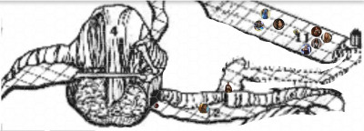 Screenshot_20220203-204954_Dungeon Sketch~2.jpg